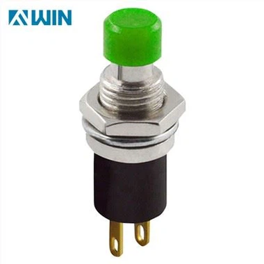2 Pin SPST Momentary Push Button Switch